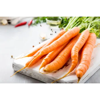 carrot-02 (1)-8247726-92605.webp